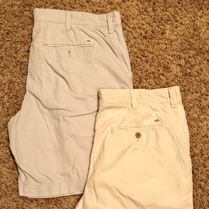 Izod Saltwater shorts